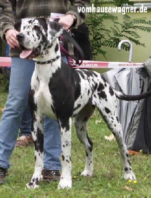 Indian Von Der Barrenburg