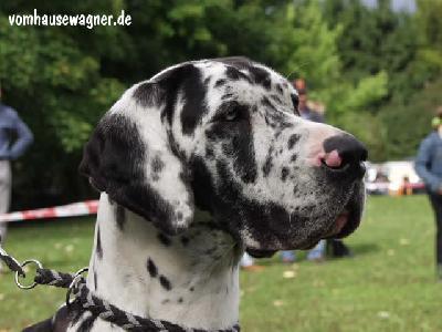 Indian Von Der Barrenburg