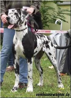 Indian Von Der Barrenburg