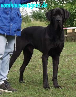 Xeno Vom Hause Wagner