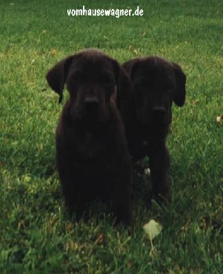 Xana Vom Hause Wagner