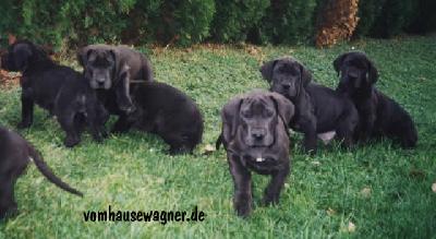 Xana Vom Hause Wagner