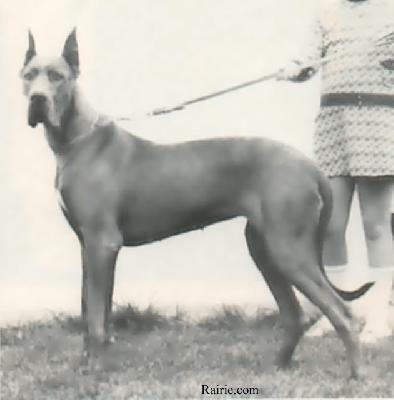 Ch Gundi Von Schafgarten