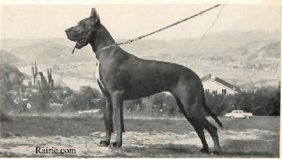 Ch Ringele Aus Dem Schwarzwald