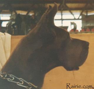 Ch Naika Des Terres De La Rairie