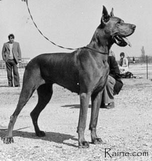 Ch Josephine Des Terres  De La Rairie