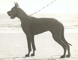 Ch Josephine Des Terres  De La Rairie