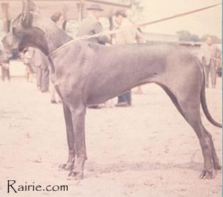 Frauke Von Himmelsfurst