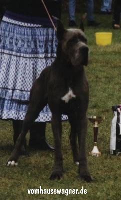 Lizzy D�ochretolievaltt