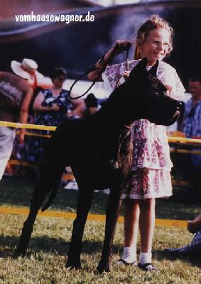 Hermionne D�ochretolievaltt