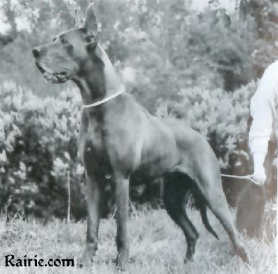 Katja Von Trabersruh