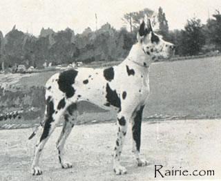 Ch Baroness Von Furst Bismarck