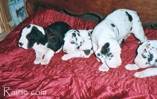 San Severina Des Terres  De La Rairie