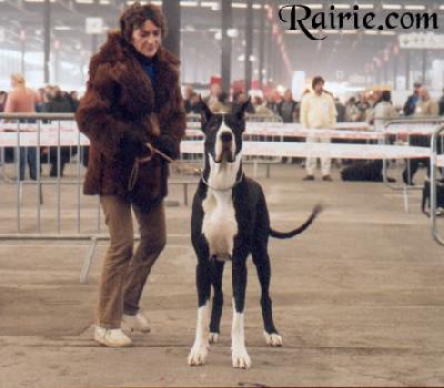 Starlight Des Terres  De La Rairie