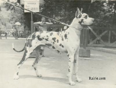 Mario Von Der Eremitage