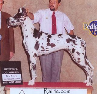 Ch One More Des Terres  De La Rairie