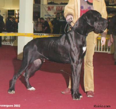 Romanof Des Terres  De La Rairie