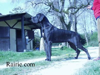 Romanof Des Terres  De La Rairie