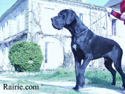 Romanof Des Terres  De La Rairie