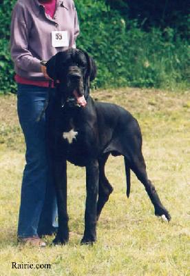 Romanof Des Terres  De La Rairie