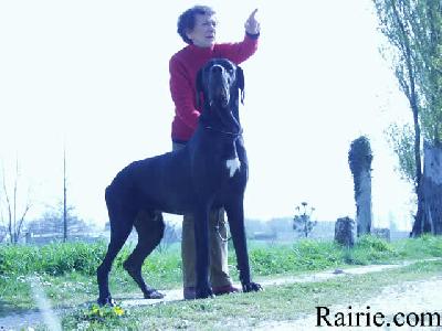 Romanof Des Terres  De La Rairie