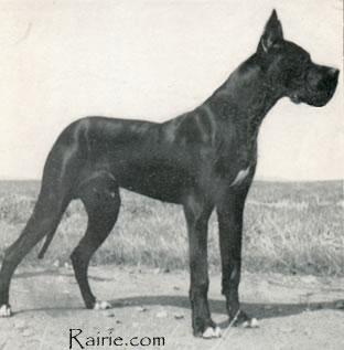 Bandit Von Furst Bismarck