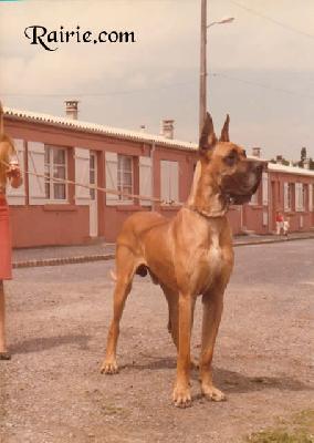 Upsilon Golden Winner