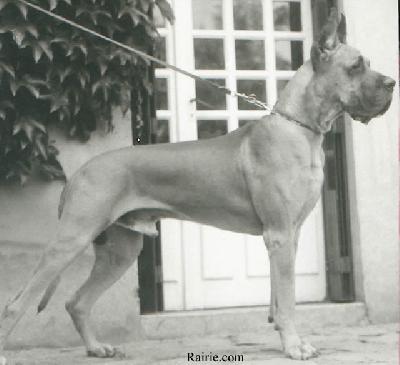 Ch Jamin Des Terres De La Rairie