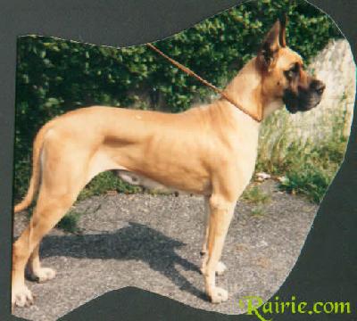 Tonkine Des Terres De Bourguenailles