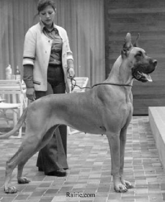 Ch Jennifer Du Domaine De Lempereur