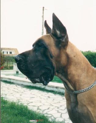 Varum Des Terres  De La Rairie