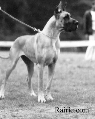 Ch Ulm Des Petites Vernieres