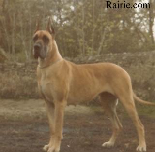 Ch Ulm Des Petites Vernieres