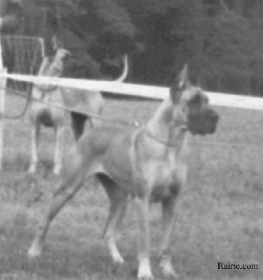 Ch Ulm Des Petites Vernieres