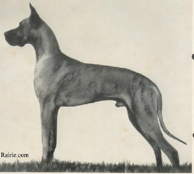 Benno Von Der Waldenser  Ruhe