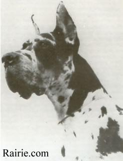 Ch Uranus De Mourre Frais