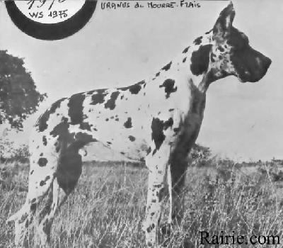 Ch Uranus De Mourre Frais