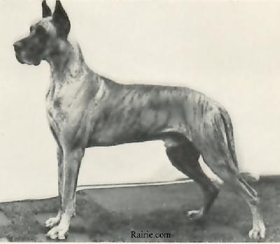 Ch Bart Von Marienward