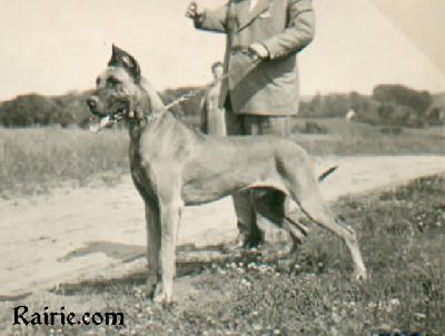 Maestoso Vom Klingenpfad