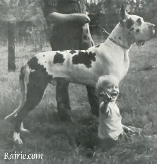 Dakota Van De Brentjes