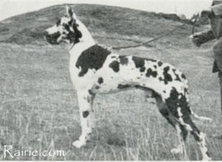 Jago Von Der Nurburg