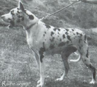 Cora Von Der Nurburg