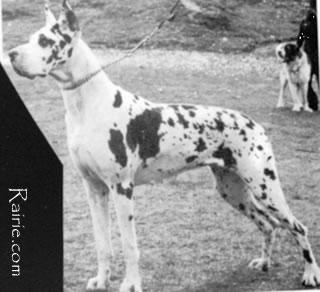 Lady Von Der Nurburg