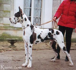 Ores Des Terres  De La Rairie