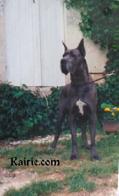 Horla De La Templerie De Gourdole