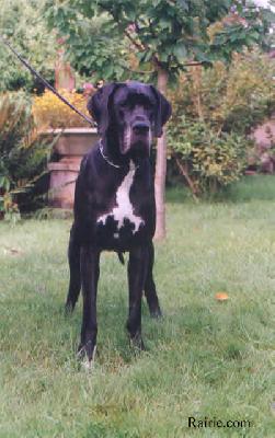 Ch Phleur Des Terres  De La Rairie