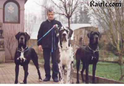 Ch Phara Des Terres  De La Rairie