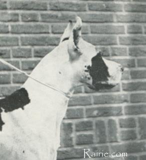 Baldo Von Der Nurburg