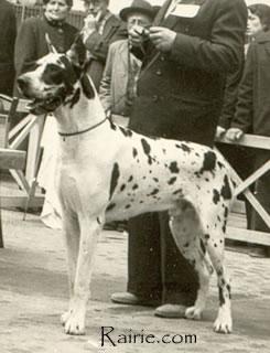 Ch Canta Von Munchhausen