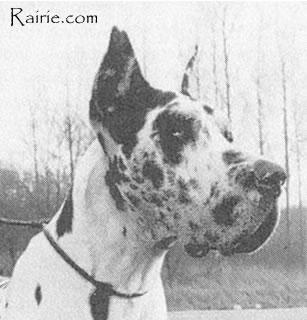 Odin Von Materborner Schweiz